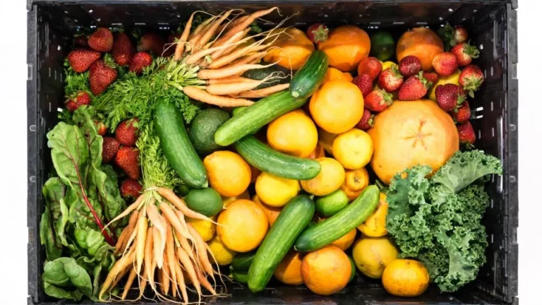 Crate of fresh vegetables and fruit representing the range of health topics