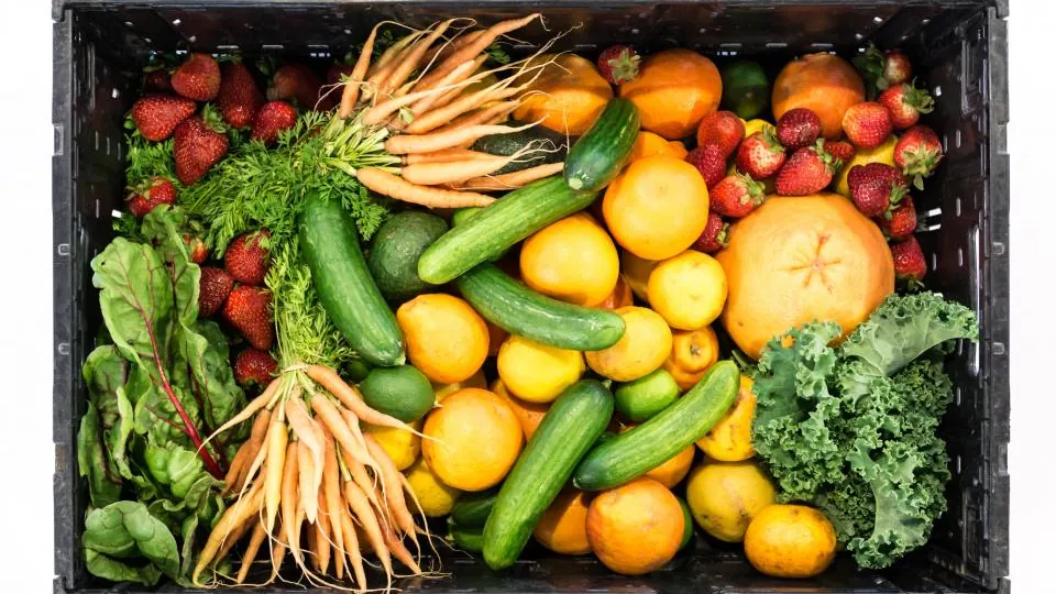 Crate of fresh vegetables and fruit representing the range of health topics